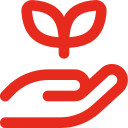 Aktivity